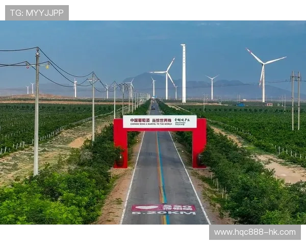 ✅体育直播🏆世界杯直播🏀NBA直播⚽- 宁夏贺兰山东麓酿酒葡萄迎接“冬眠”- sports ✅体育直播🏆世界杯直播🏀NBA直播⚽- 宁夏贺兰山东麓酿酒葡萄迎接“冬眠”- sports